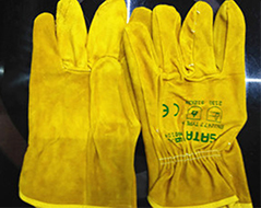 ���_����